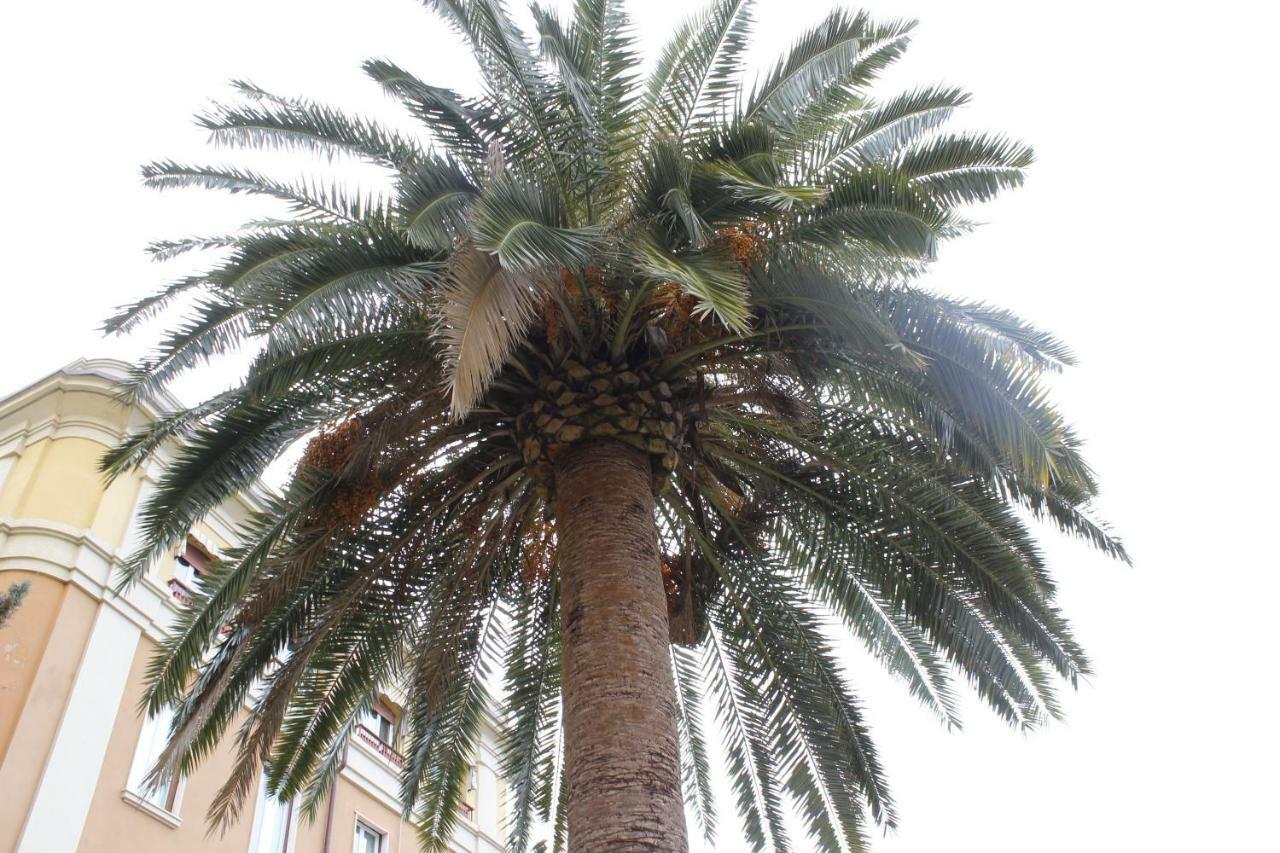 Punto Relax Hotel La Spezia Exterior photo